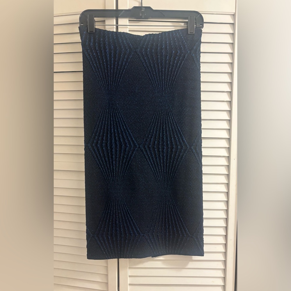 Zara Women Black Blue Glitter Skirt